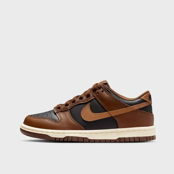 Nike Dunk Low bruin
