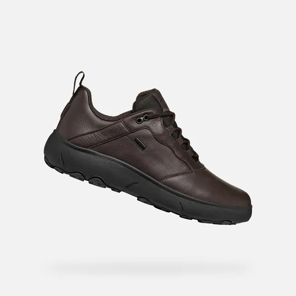 GEOX NEBULA + GRIP ABX Donkerbruin — vergelijk prijzen bij 1 winkel