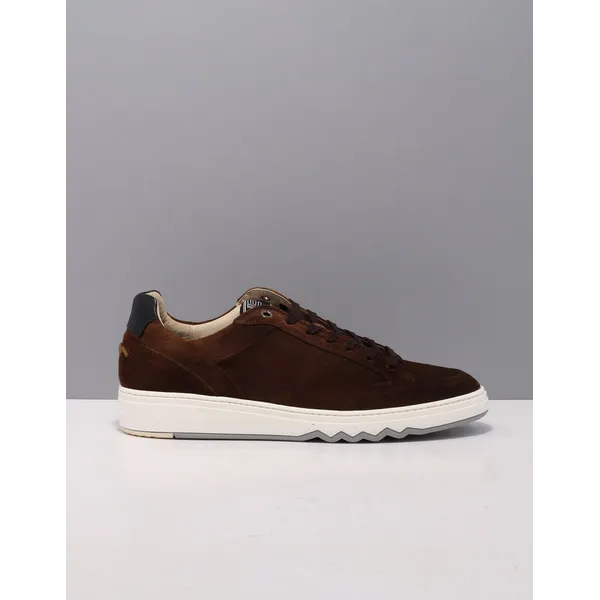 Floris van Bommel SFM-10183 Bruin — vergelijk prijzen bij 1 winkel