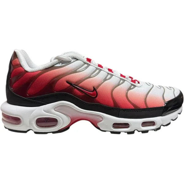 Nike Air Max Plus zwart