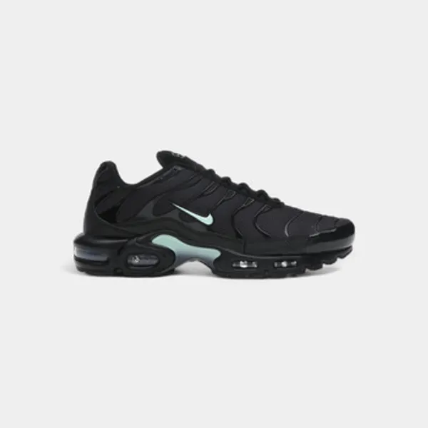 Nike Air Max Plus Zwart