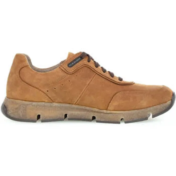 Pius Gabor Sneakers  1022.11.07 Bruin — vergelijk prijzen bij 1 winkel