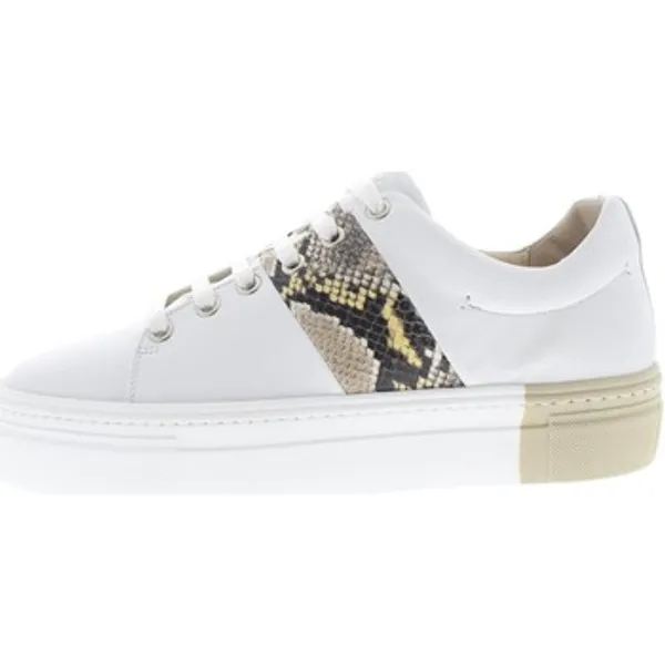 Roberto D Angelo Sneakers  Evora Wit — vergelijk prijzen bij 1 winkel