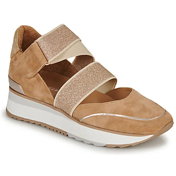 Adige Lage Sneakers  XARI Bruin — vergelijk prijzen bij 1 winkel