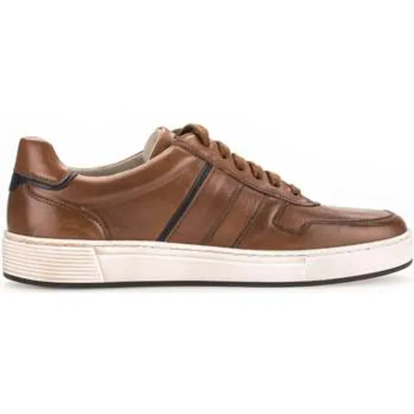 Pius Gabor Sneakers  1040.13.01 Bruin — vergelijk prijzen bij 1 winkel