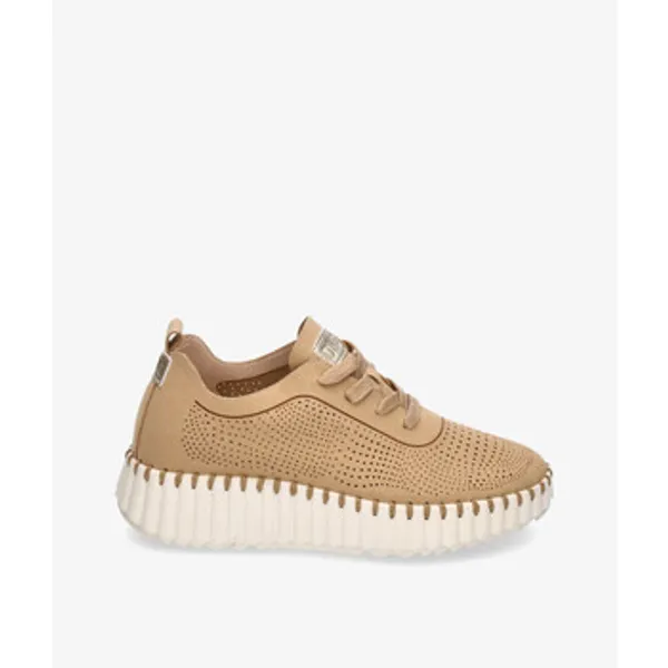 D'angela Sneakers  26022 — vergelijk prijzen bij 1 winkel