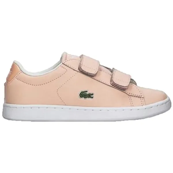 Lacoste Sneakers  Carnaby Evo Strap Roze — vergelijk prijzen bij 1 winkel