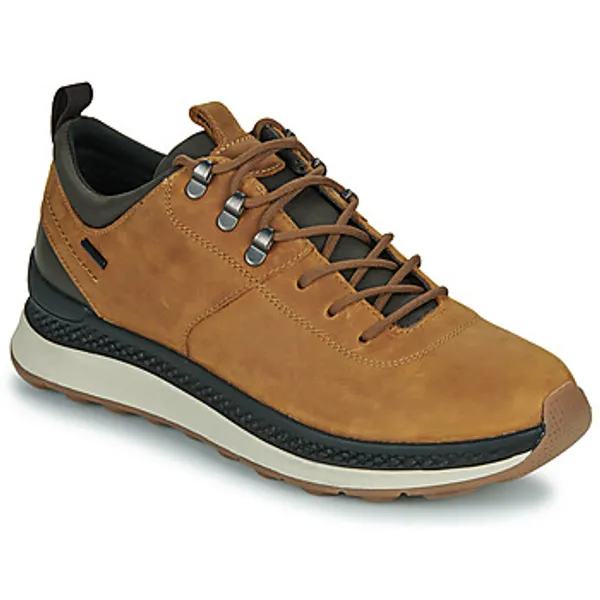 Geox Lage Sneakers  U SPHERICA ACTIF X2 Bruin — vergelijk prijzen bij 1 winkel