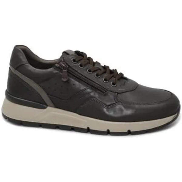 NeroGiardini Lage Sneakers  NGD-I25-00870 Bruin — vergelijk prijzen bij 1 winkel