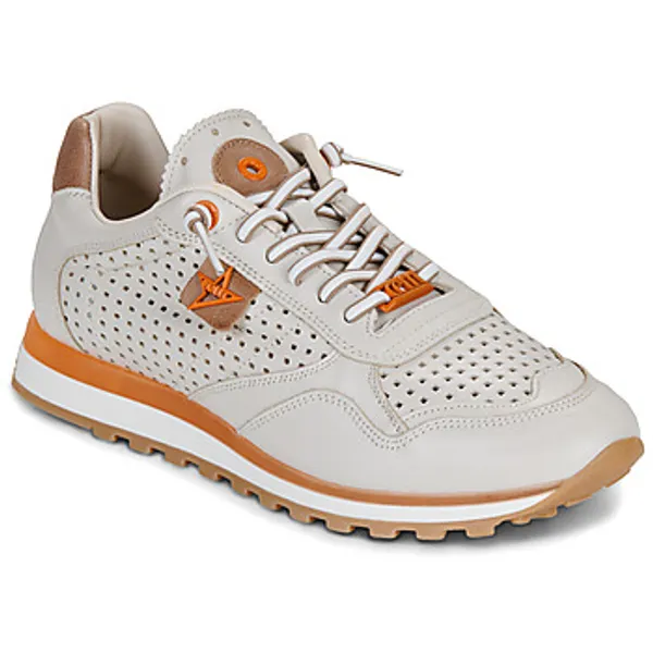 Cetti Lage Sneakers  C-848-V26-NATURE-OFF Beige — vergelijk prijzen bij 1 winkel
