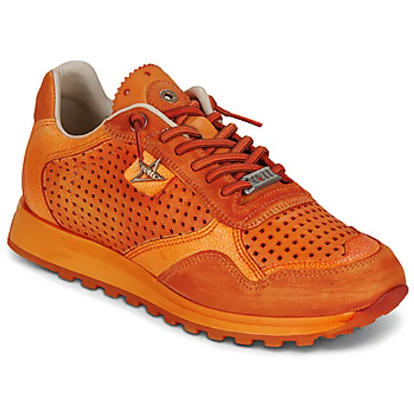 Cetti Lage Sneakers  C-848-V26-USED-TIN-AMBAR Oranje — vergelijk prijzen bij 1 winkel