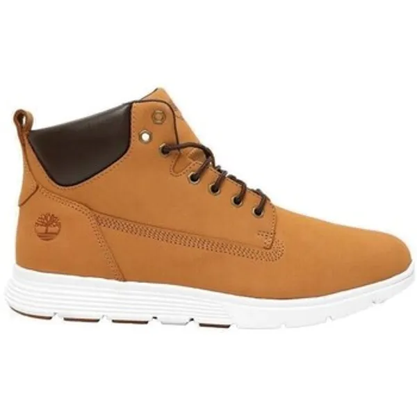 Timberland Hoge Sneakers  TB0A6BE5754 multicolour — vergelijk prijzen bij 1 winkel