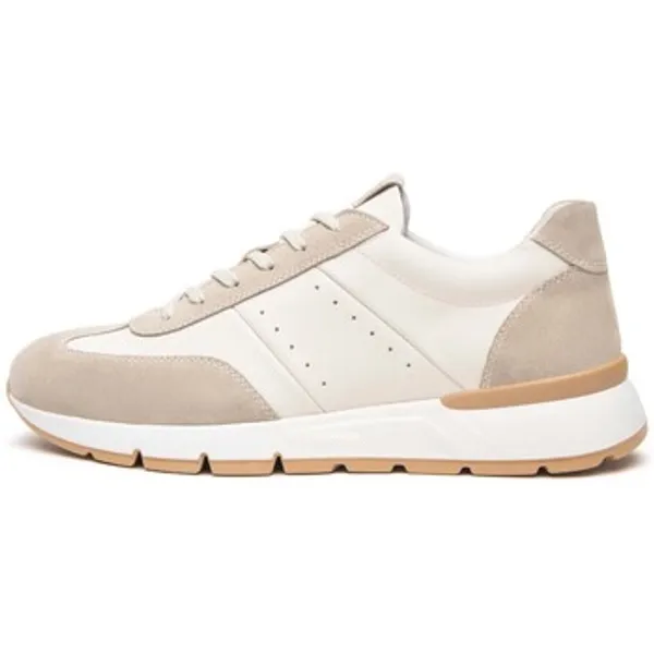 NeroGiardini Lage Sneakers  Velour Sparta Osso Pu.Bidens.Poggio B16 Beige — vergelijk prijzen bij 1 winkel