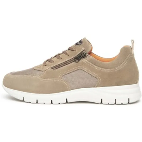NeroGiardini Lage Sneakers Arold Velo T.K-Tech 457 6 Eva Andalo 8770/003 Bruin — vergelijk prijzen bij 1 winkel