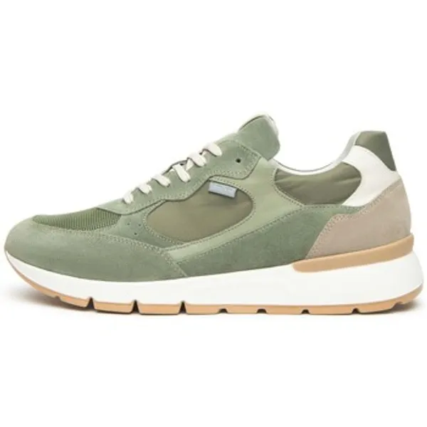 NeroGiardini Lage Sneakers Colorado 556 T.Dragon 5105 Savana Edera T.New Groen — vergelijk prijzen bij 1 winkel
