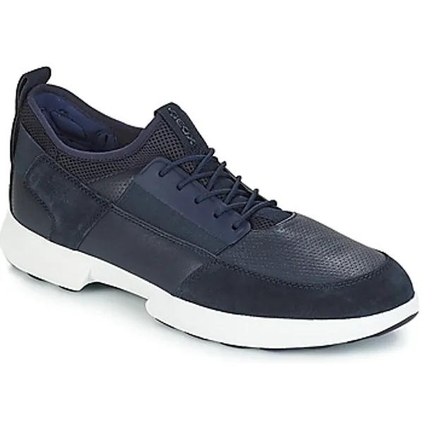 Geox Lage Sneakers  TRACCIA Blauw — vergelijk prijzen bij 1 winkel