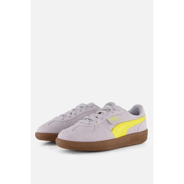 PUMA 101109 Grijs — vergelijk prijzen bij 1 winkel