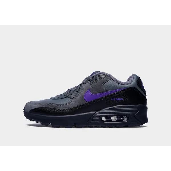 Nike Air Max 90 SE Grijs Zwart Paars — vergelijk prijzen bij 1 winkel