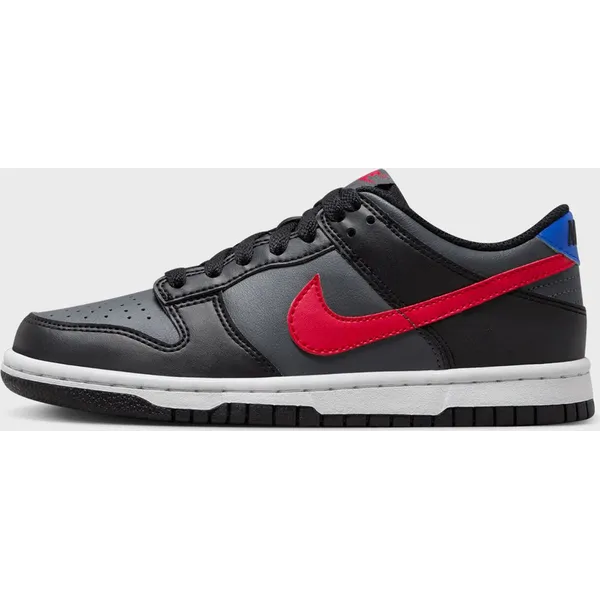 Nike Dunk Grijs/Zwart/Rood/Blauw