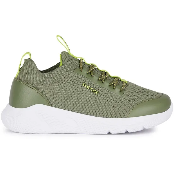 Geox Sneakers Groen