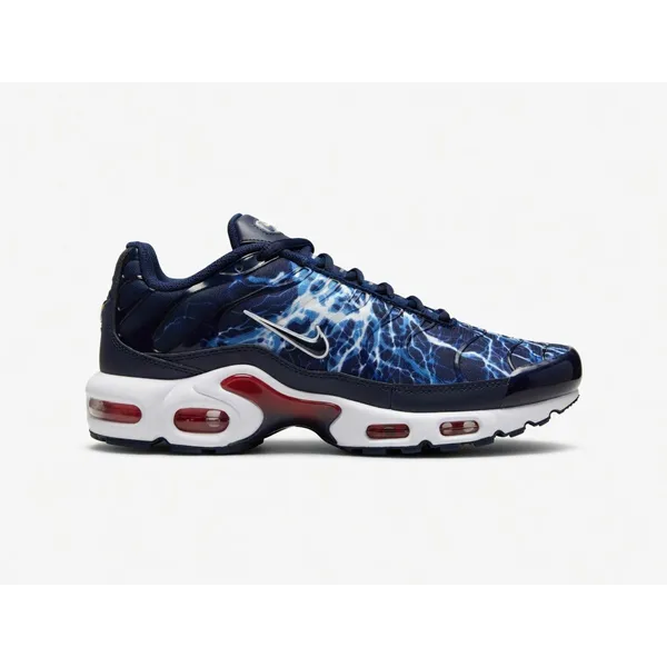 Nike Air Max Plus Blauw