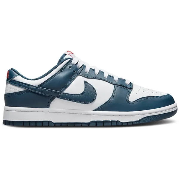 Nike Nike Dunk Low BLAUW