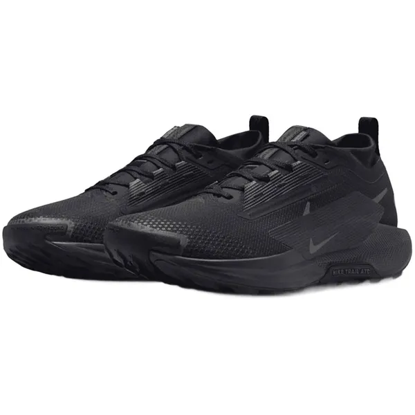 Nike Pegasus Trail 5 GORE-TEX veelkleurig — vergelijk prijzen bij 1 winkel