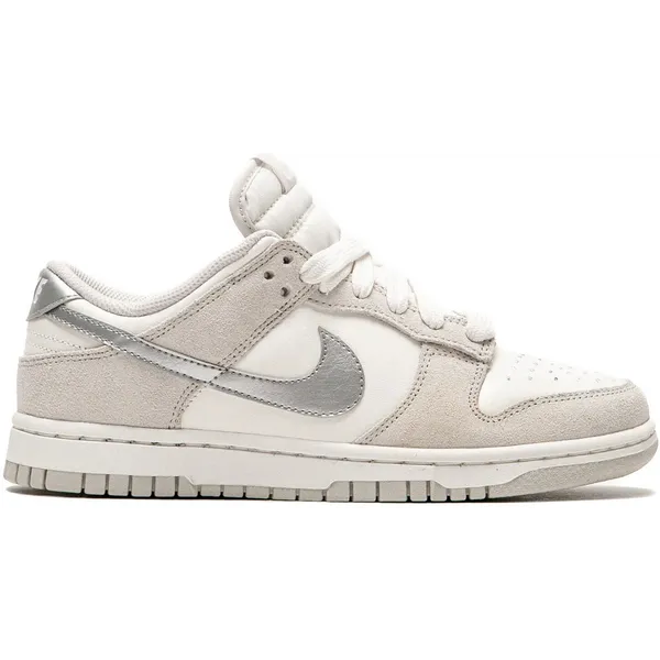Nike Dunk Low Grijs/Zilver