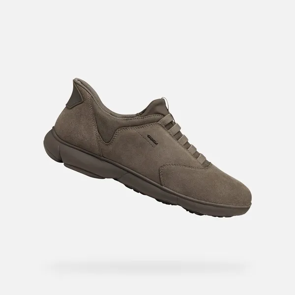 GEOX Nebula 2.0 Plus Taupe — vergelijk prijzen bij 1 winkel