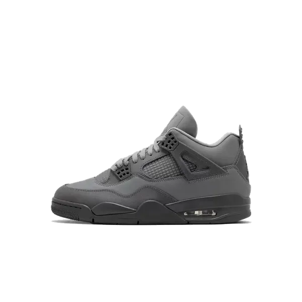 Nike Nike Air Jordan 4 SE 'Wet Cement' - Paris Olympics — vergelijk prijzen bij 1 winkel