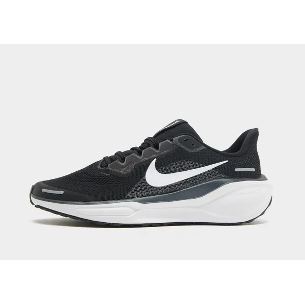 Nike Pegasus Zwart