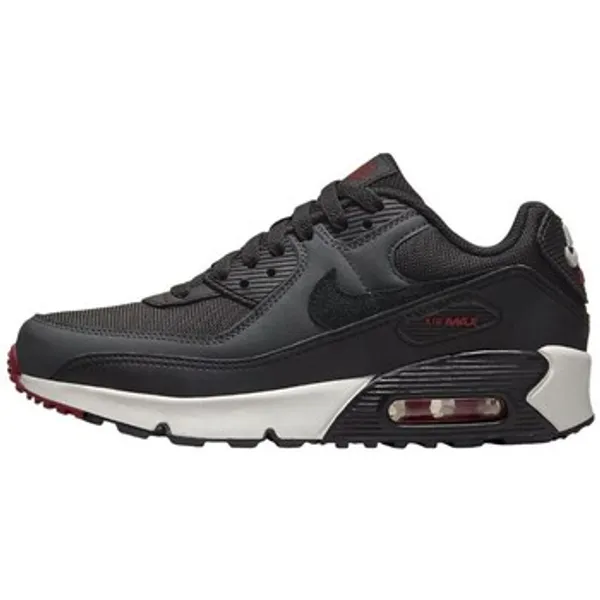 Lage Sneakers Nike Air Max 90 Ltr GS