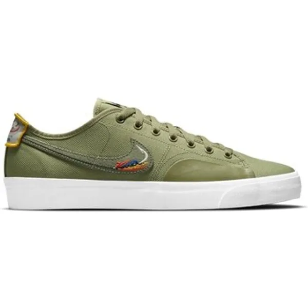 Nike Skateschoenen Nike SB Blazer Court Dvdl Daan Van Der Linden — vergelijk prijzen bij 1 winkel
