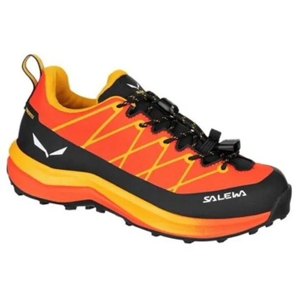Salewa Lage Sneakers Salewa Wildfire 2 Ptx — vergelijk prijzen bij 1 winkel