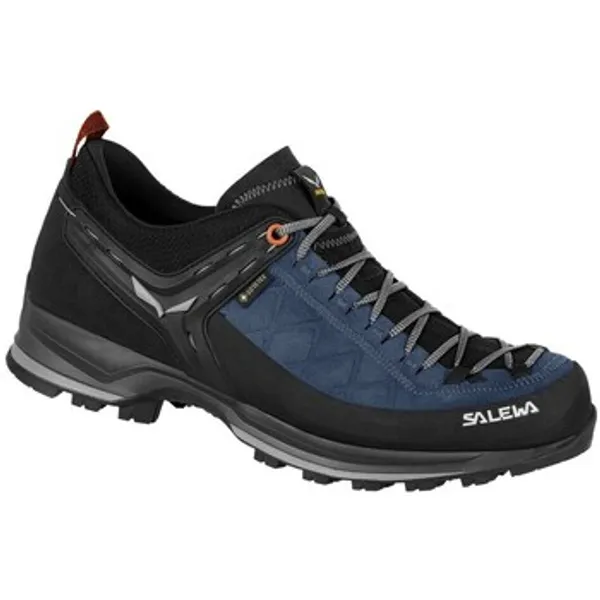 Salewa Wandelschoenen Salewa Mtn Trainer 2 Gtx — vergelijk prijzen bij 1 winkel