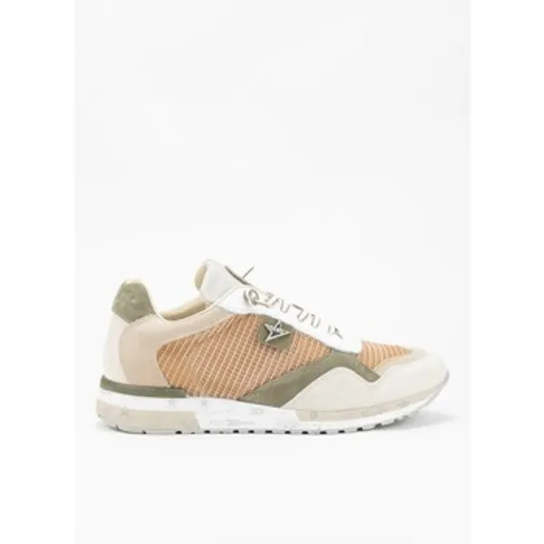 Cetti Sneakers Cetti 37447 — vergelijk prijzen bij 1 winkel