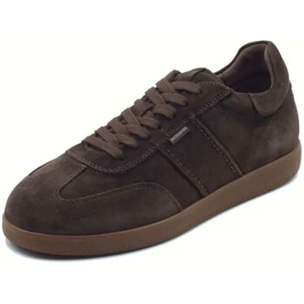 NeroGiardini Lage Sneakers NeroGiardini I500890U Arold T. — vergelijk prijzen bij 1 winkel