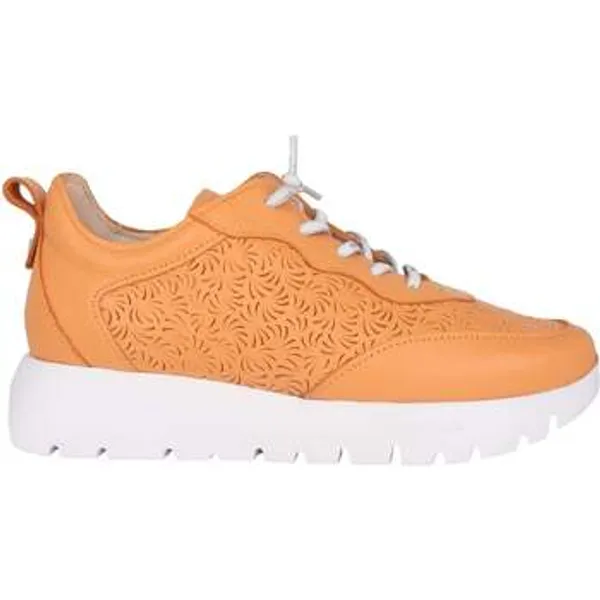 Wonders Lage Sneakers Wonders Cairo — vergelijk prijzen bij 1 winkel