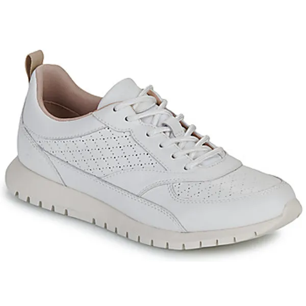 Geox Lage Sneakers Geox D SUKIE 2.0 — vergelijk prijzen bij 1 winkel