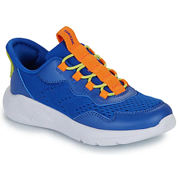 Geox Lage Sneakers Geox J SPRINTYE FAST IN B — vergelijk prijzen bij 2 winkels