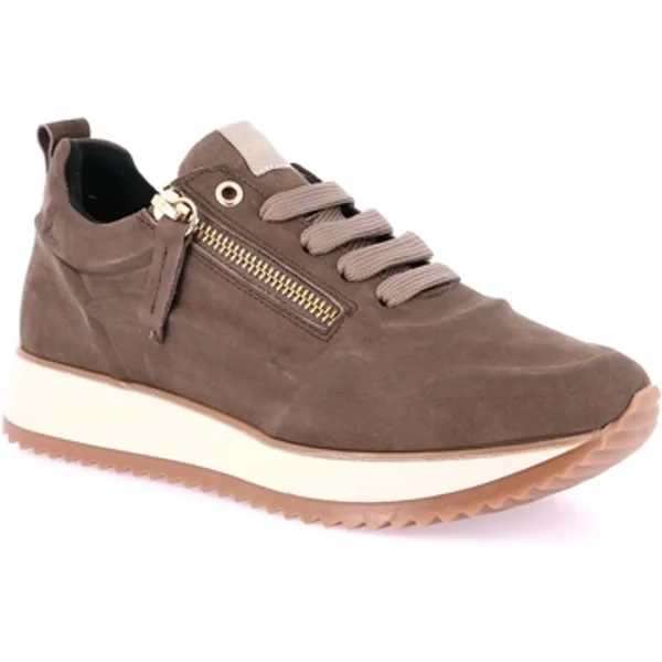 Grunland Lage Sneakers Grunland DSG-SC2169 — vergelijk prijzen bij 1 winkel