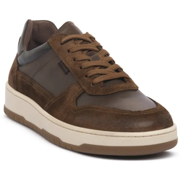 NeroGiardini Lage Sneakers NeroGiardini NERO GIARDINI 339 VELOUR MALTO — vergelijk prijzen bij 1 winkel
