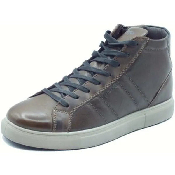 IGI&Co Hoge Sneakers IgI&amp;CO 8635500 Vitello Rag — vergelijk prijzen bij 1 winkel