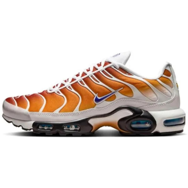 Lage Sneakers Nike Air Max Plus One Block Down Chutney