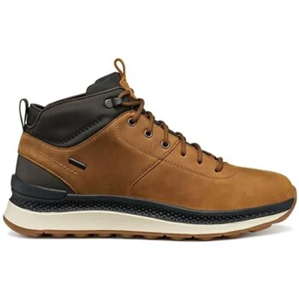 Geox Hoge Sneakers Geox Schoenen--Mannen — vergelijk prijzen bij 1 winkel