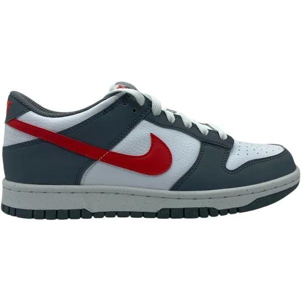 Nike Dunk Low WIT/GRIJS/OOD
