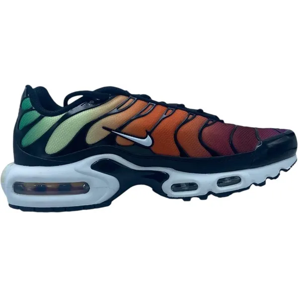 Nike Air Max Plus multicolor