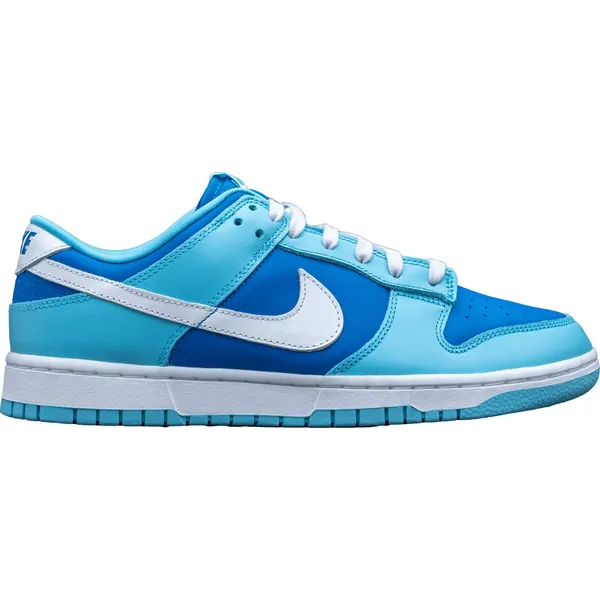 Nike Dunk Low Retro QS Argon (2022) DM0121-400 Kleur als op foto