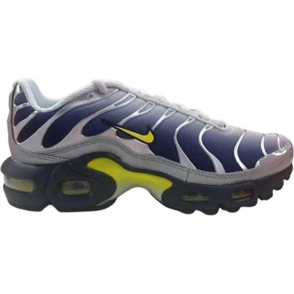 Nike Air Max Plus Zilver/Grijs/Groen/Blauw