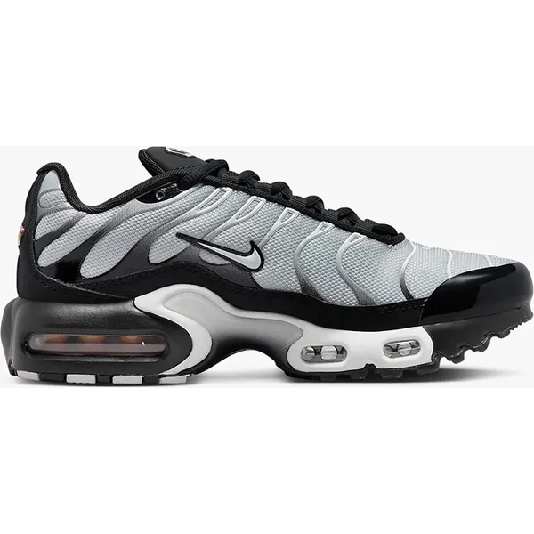 Nike Sneakers Nike Air Max Plus "Smoke Fade"